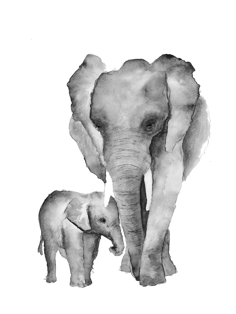 Elephant Mama