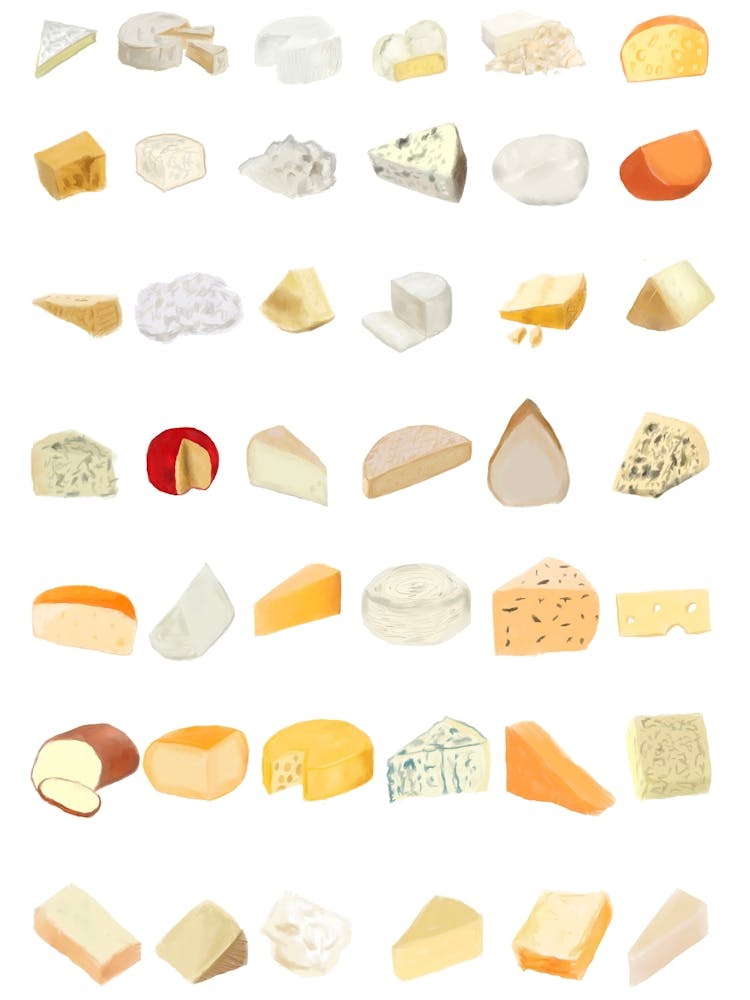 Different Types Of Cheese
