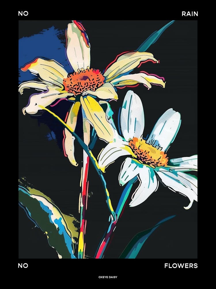 No Rain No Flowers Poster Oxeye Daisy 2
