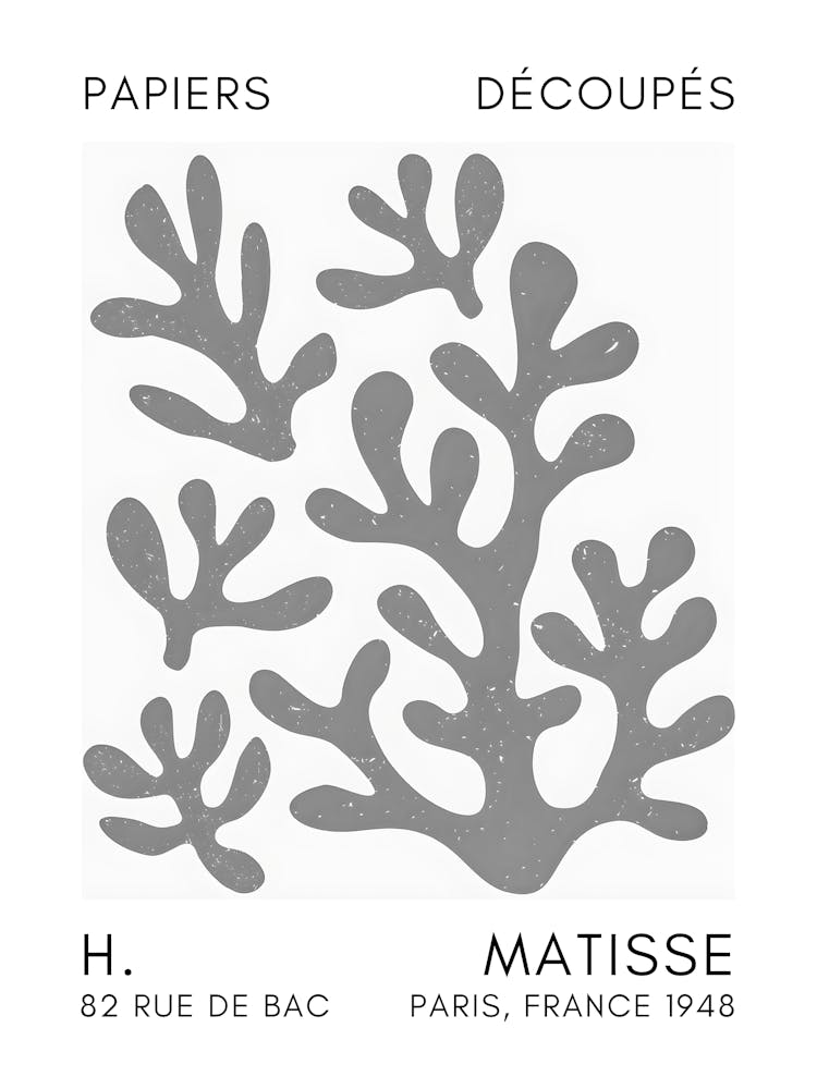 Matisse 11