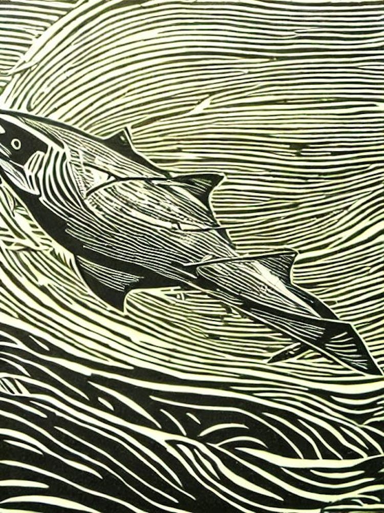 Bull Shark II Linocut