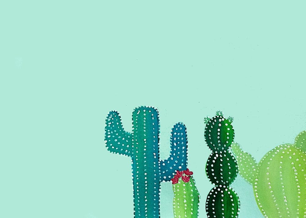 Cactus Mignon