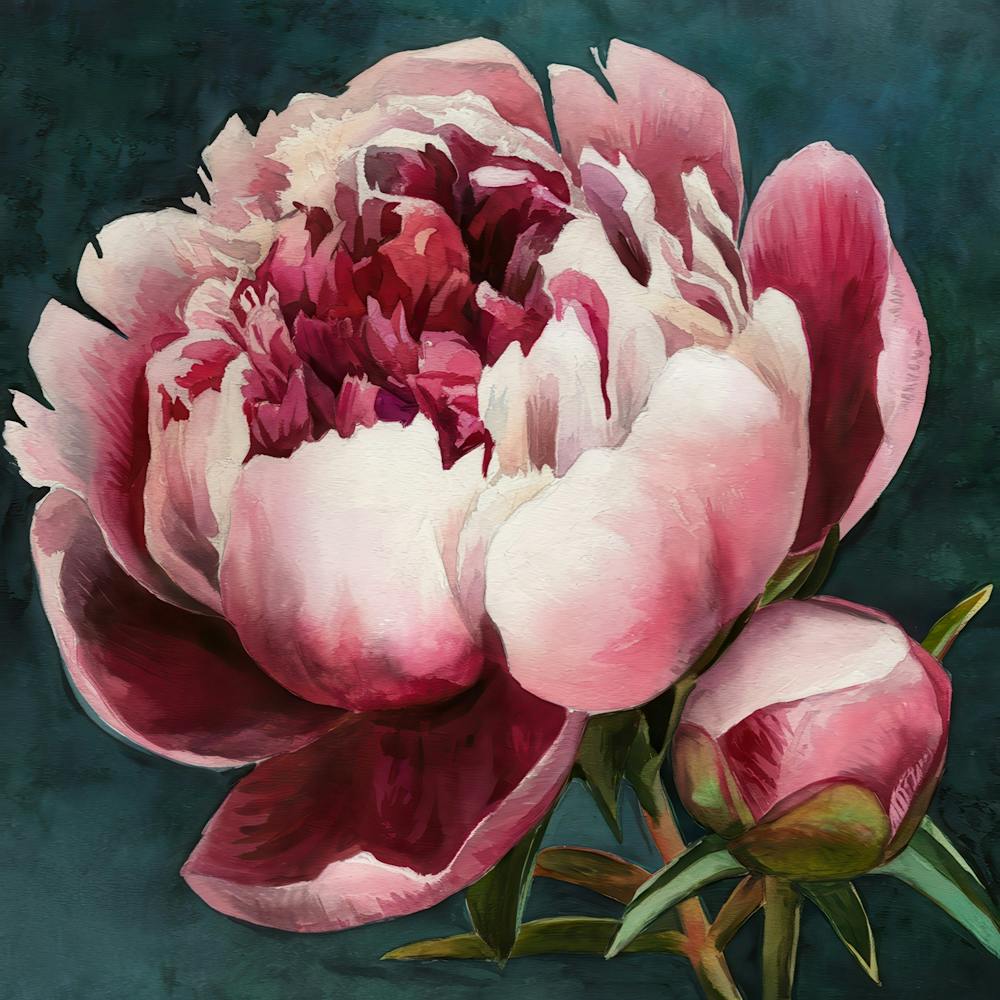 Pink Peony