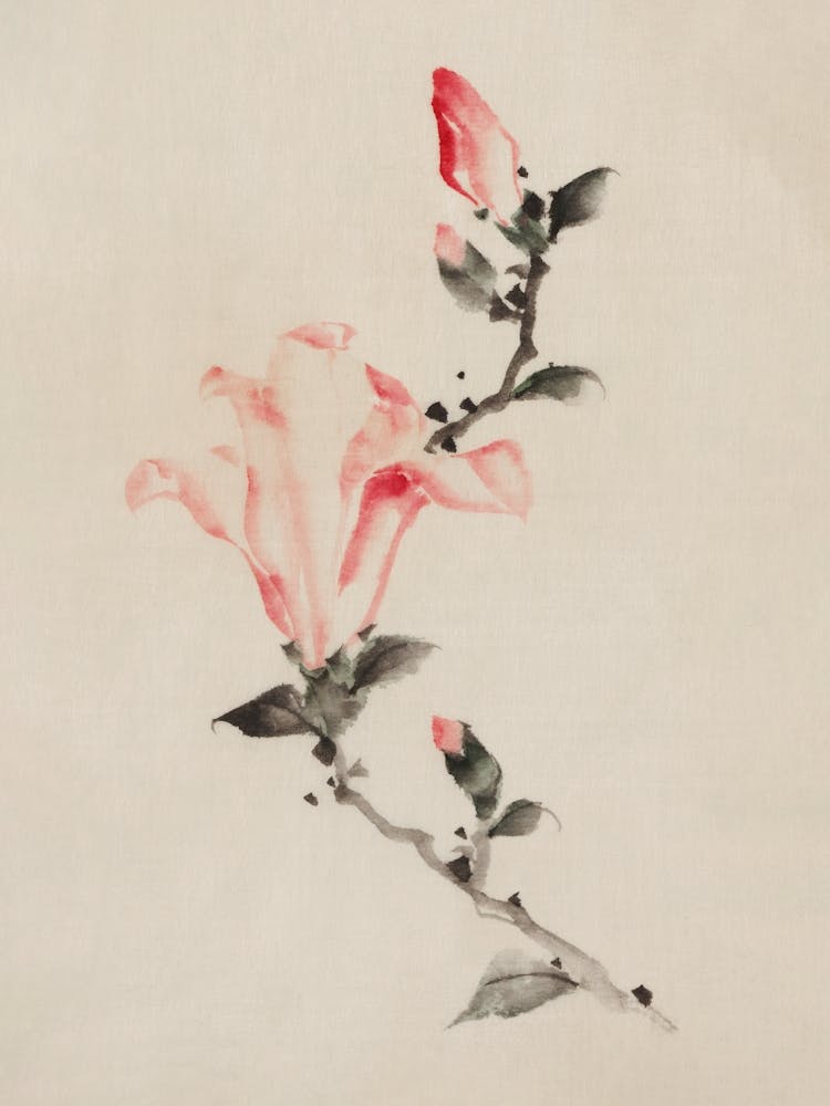 Magnolia Blossom, Katsushika Hokusai