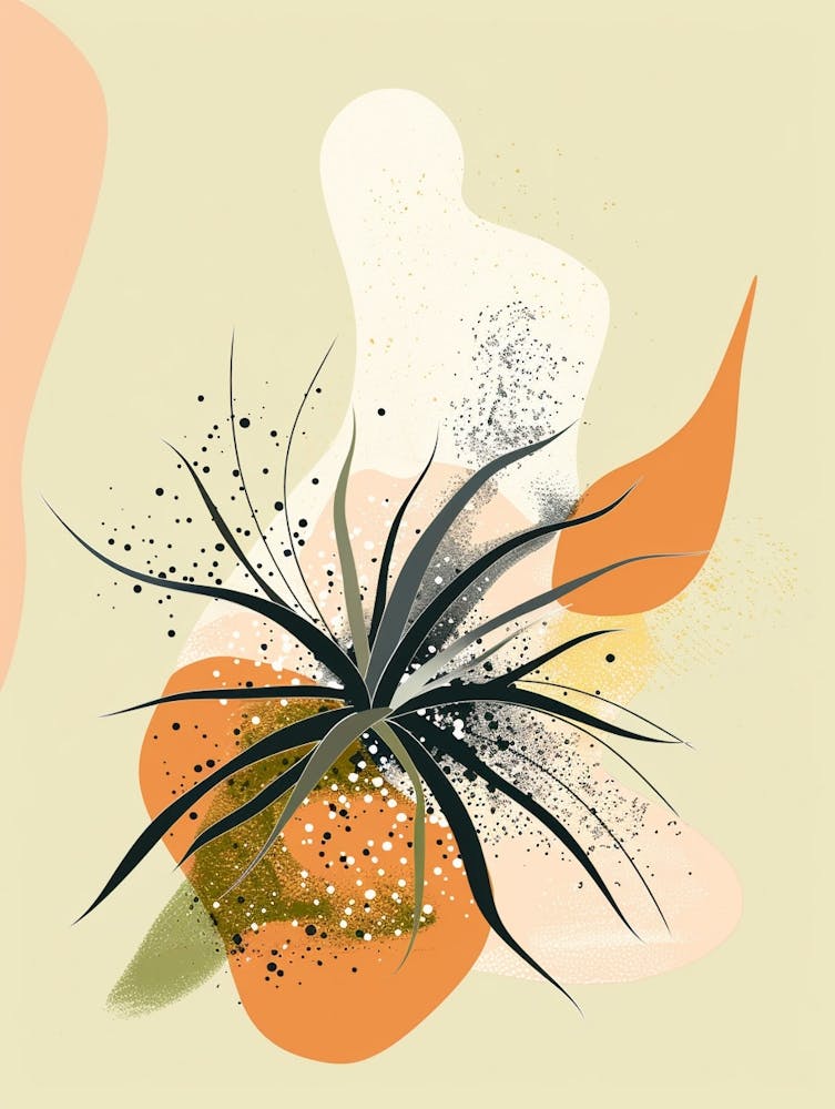 Air Plant Plant Minimalist Illustration 4