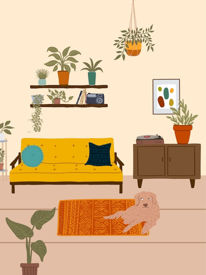 Mid Century Living Room