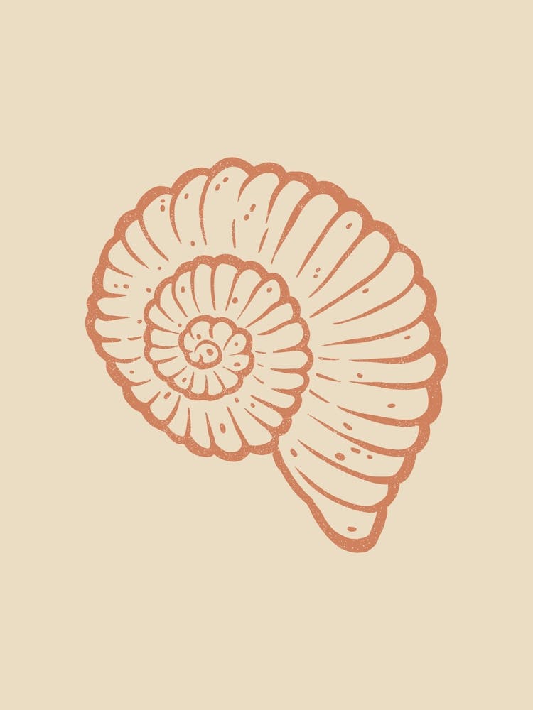 Seashell 07