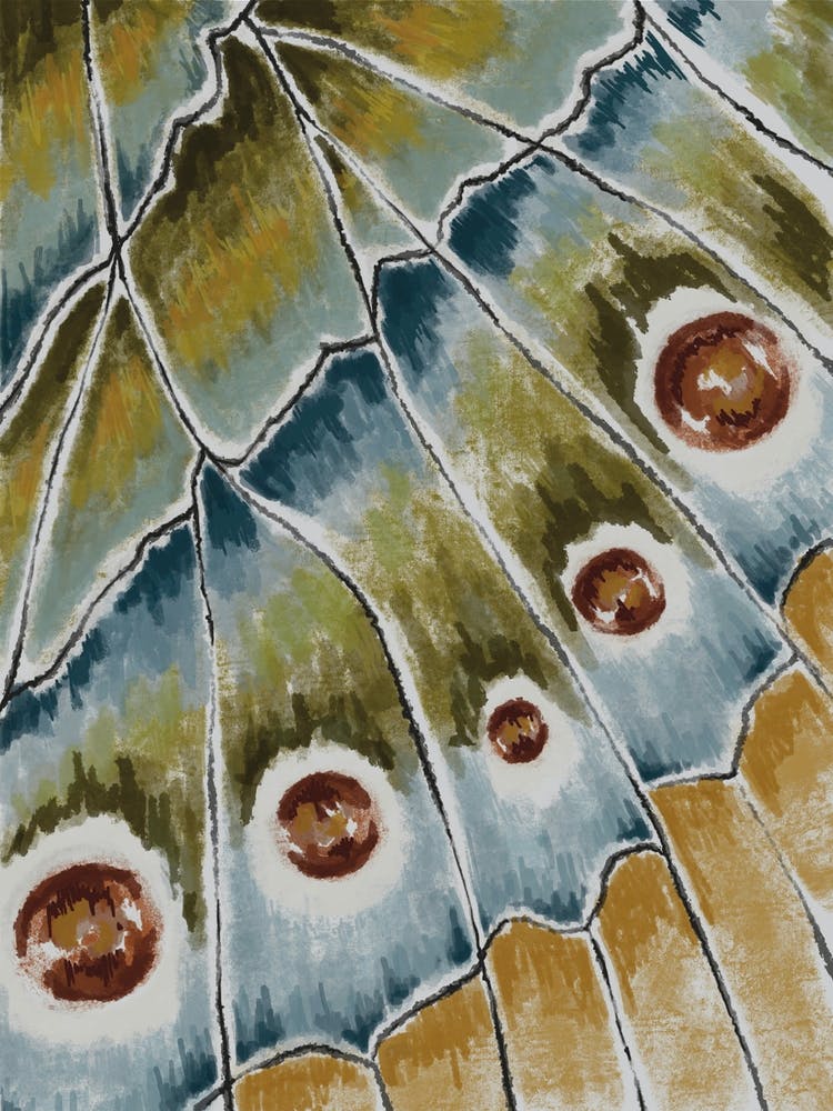 Butterfly Wing