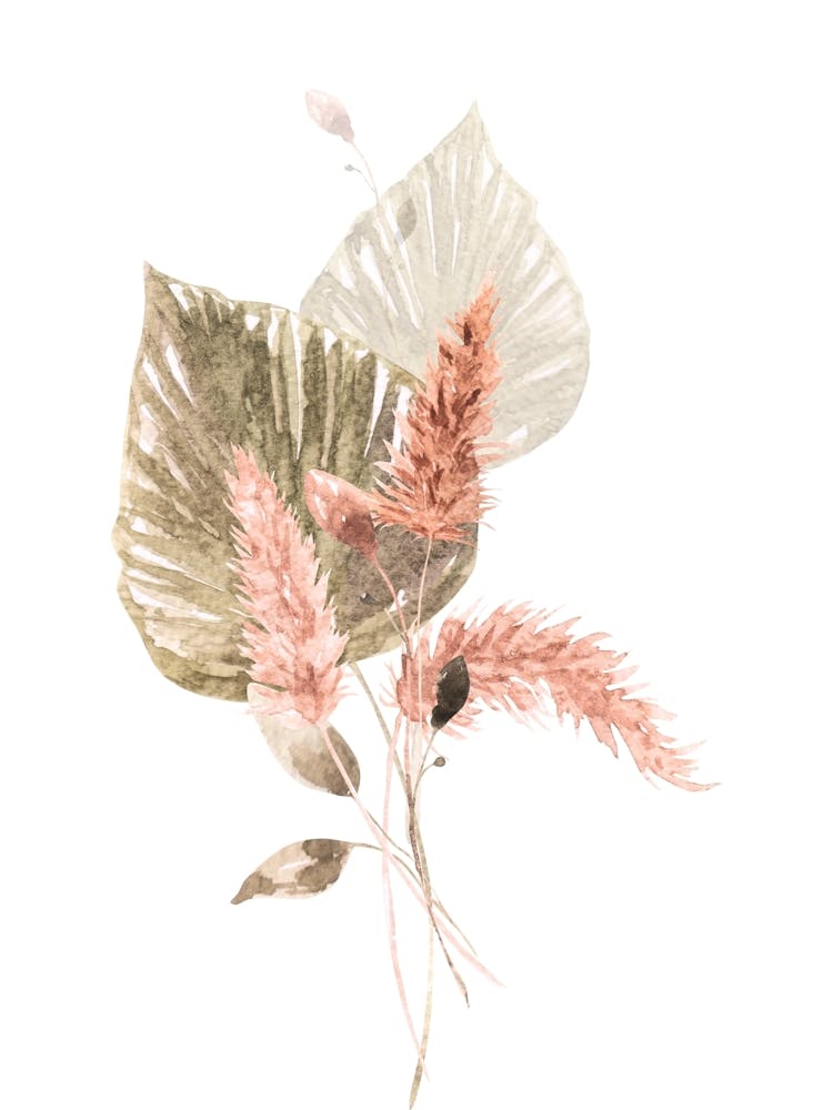 Pink Hibiscus