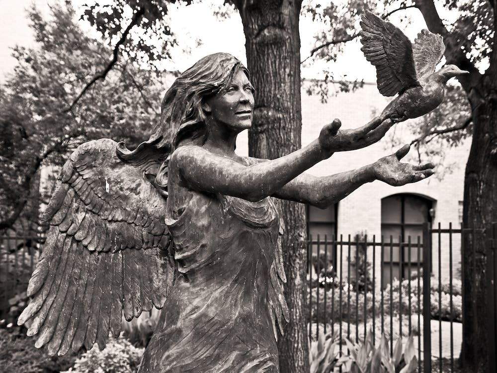Angel Dove Sepia
