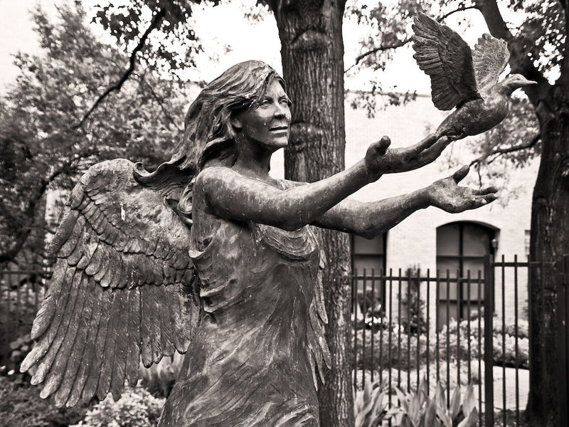 Angel Dove Sepia