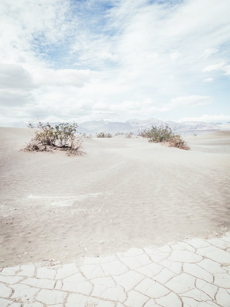Death Valley Dunes