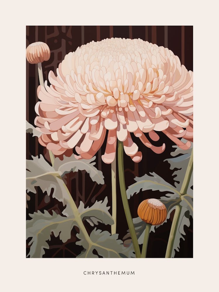Flower Illustration Chrysanthemum 3 Poster