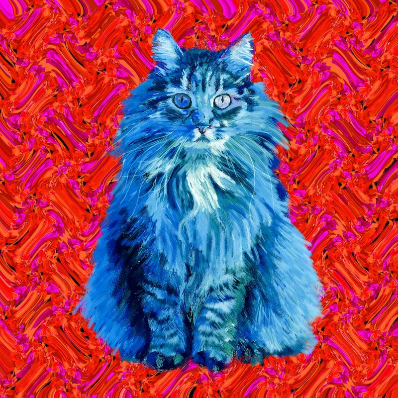 Das Katzenquadrat