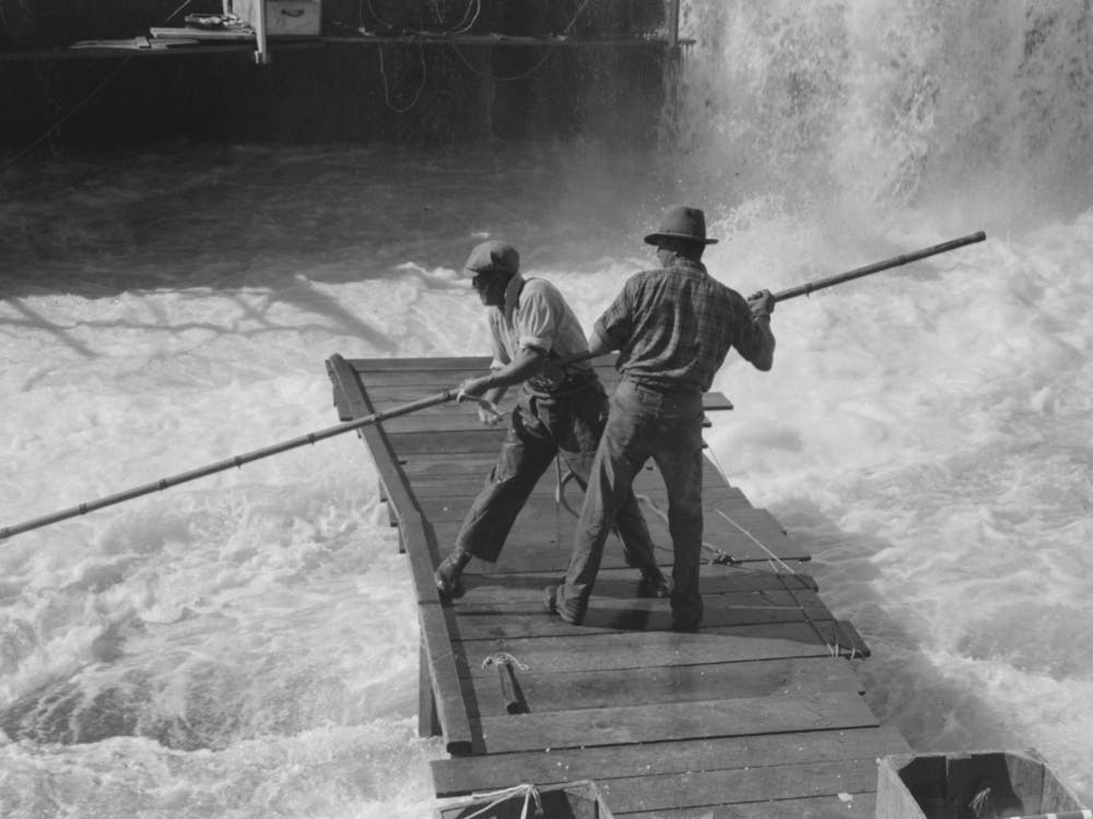 Indians Fishing For Salmon, Celilo Falls, Oregon By Russell Lee