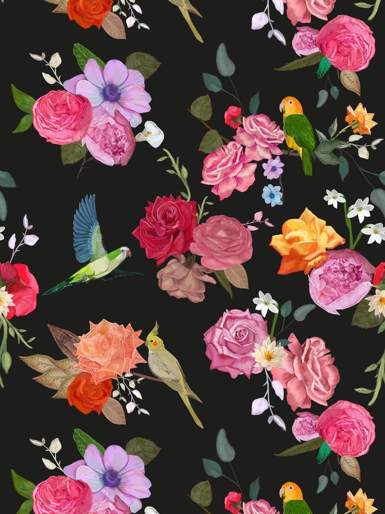 Roses Birds Black