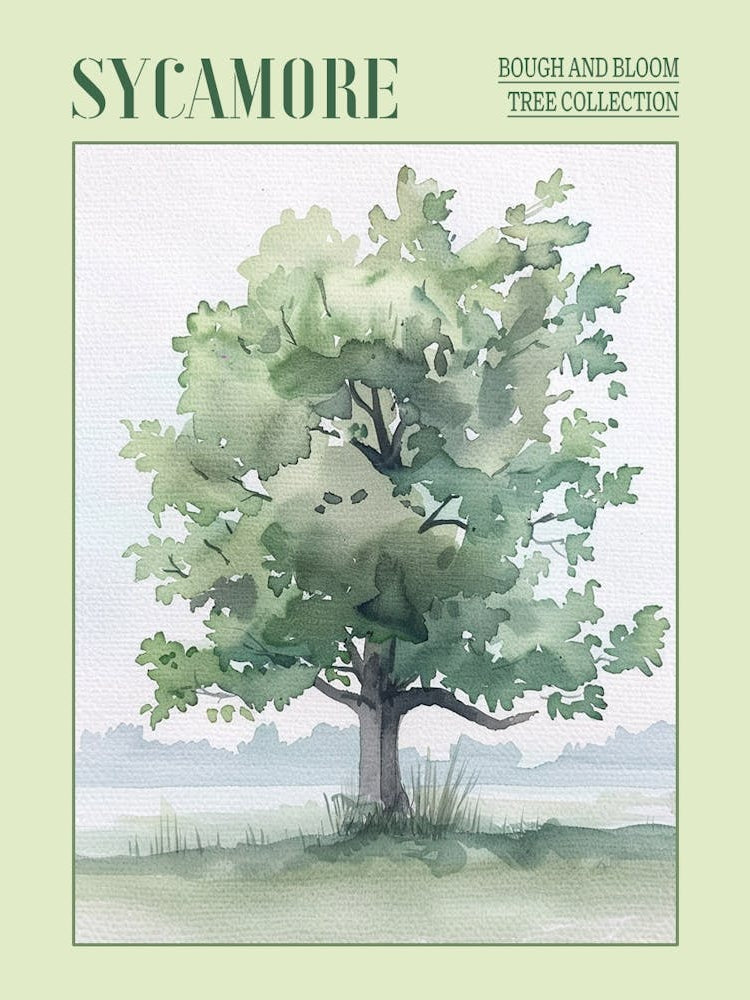 Sycamore Tree Atmospheric Watercolour Painting 3 Poster