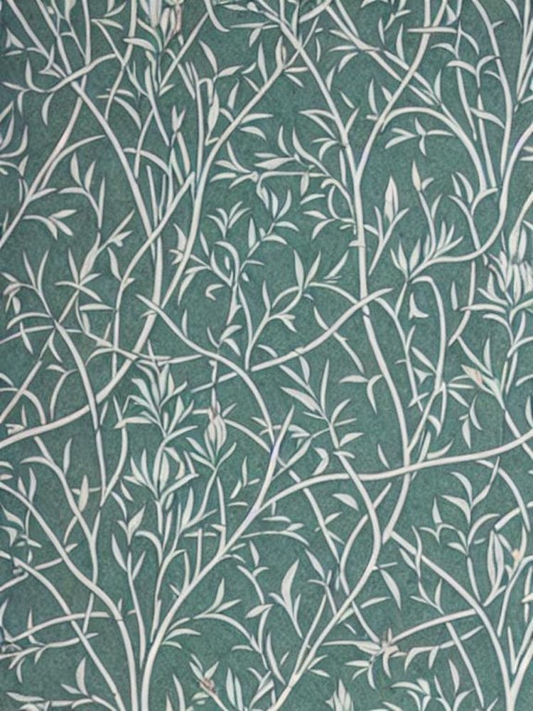 White Willow 2 tree Vintage Botanical