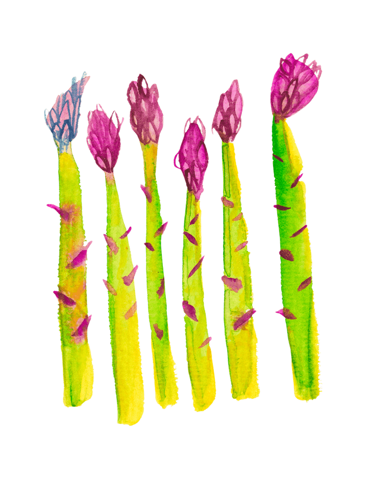 Asparagus