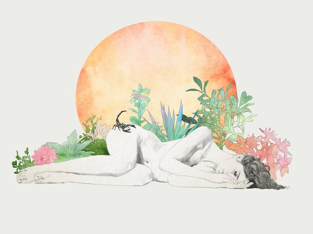 Born In The Sun A Scorpio Study