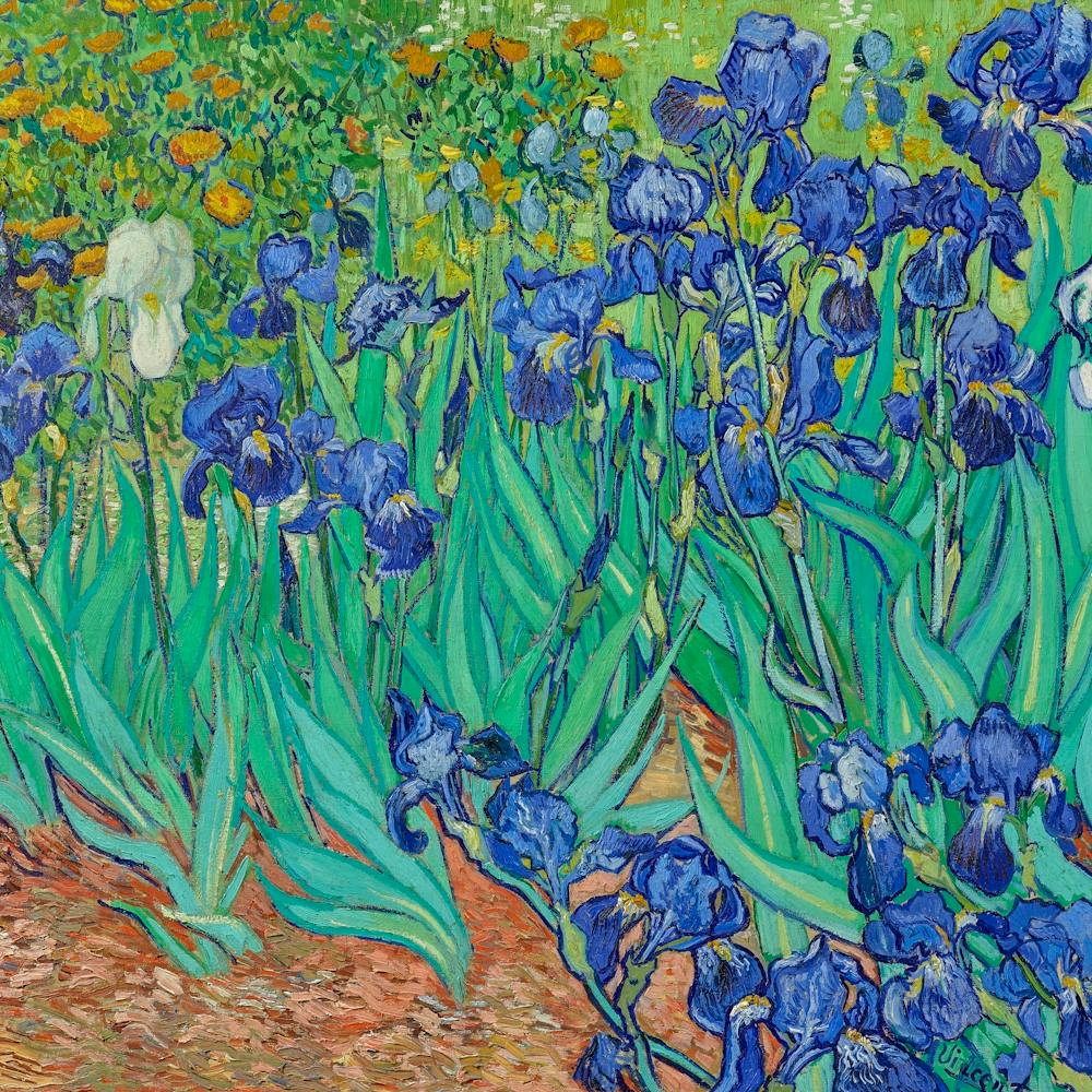 Vincent Van Gogh Irises (1889)