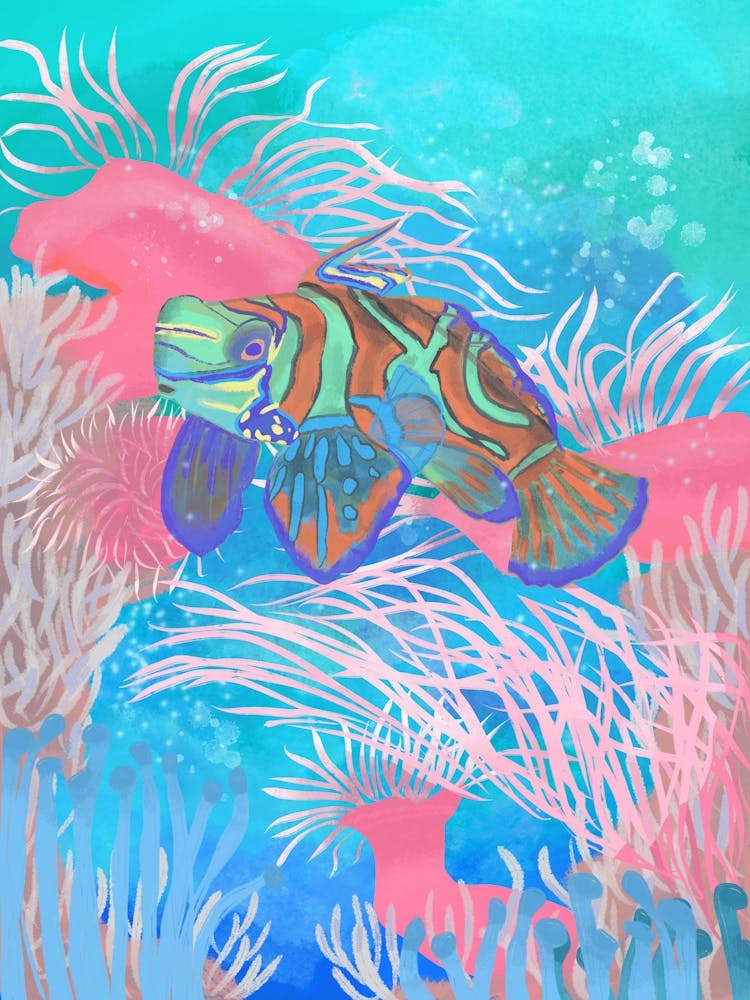 Mandarinfish