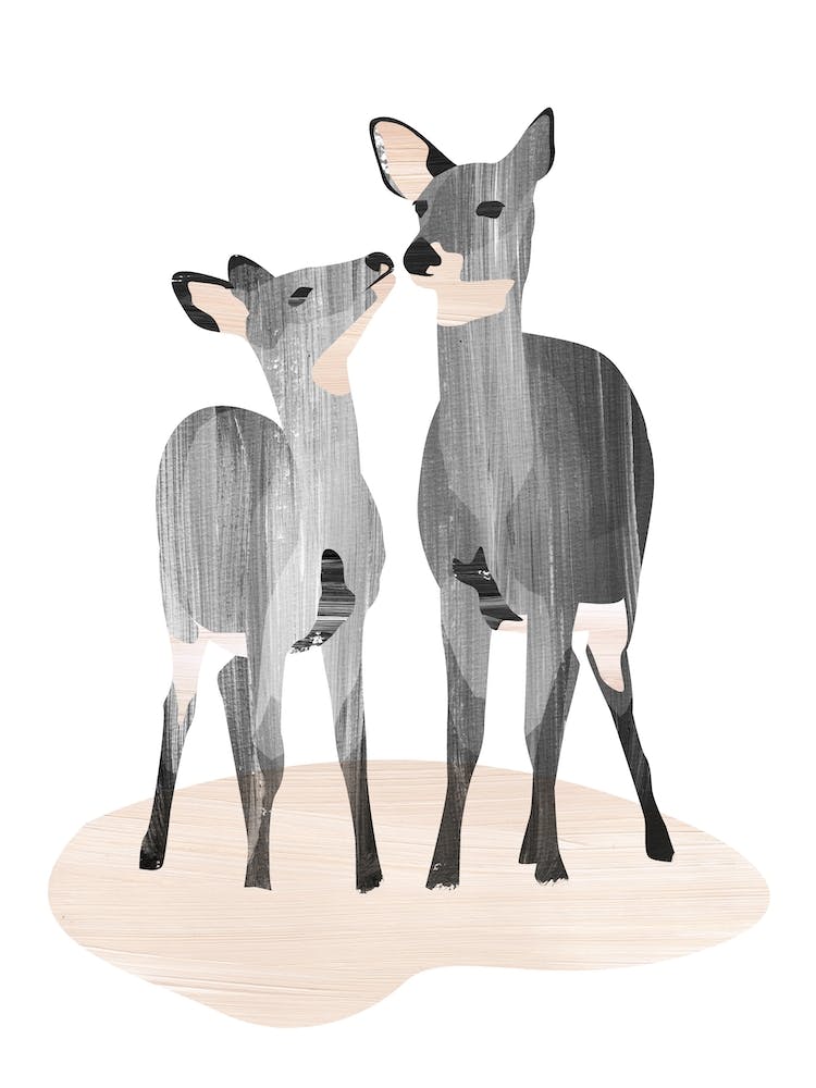Dear Deer