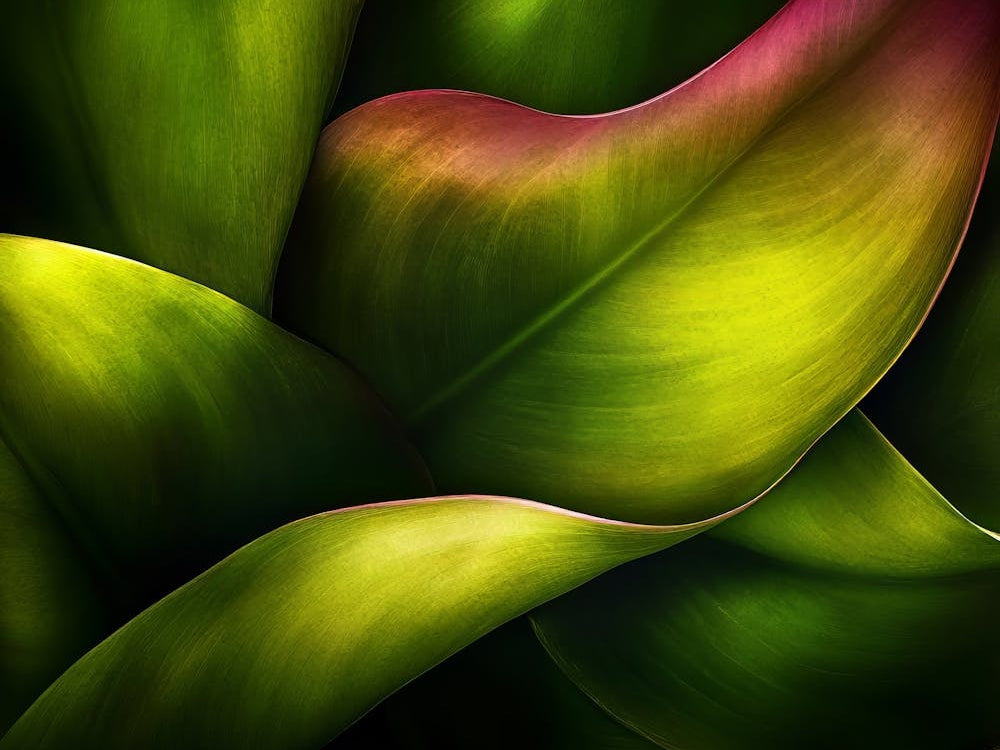 Abstract Leaf Painting