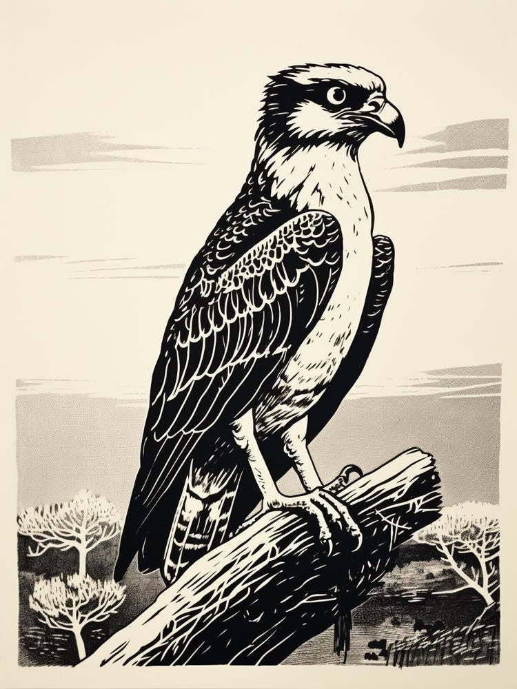 B&W Bird Linocut Osprey 4