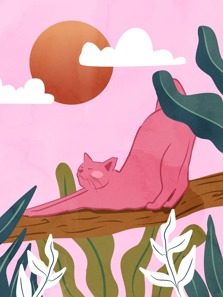 Lazy Stretch