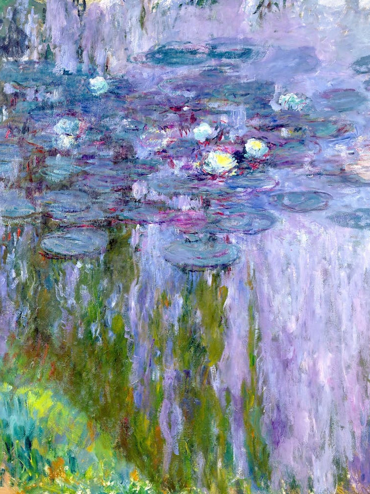 Claude Monet - Water Lilies 8