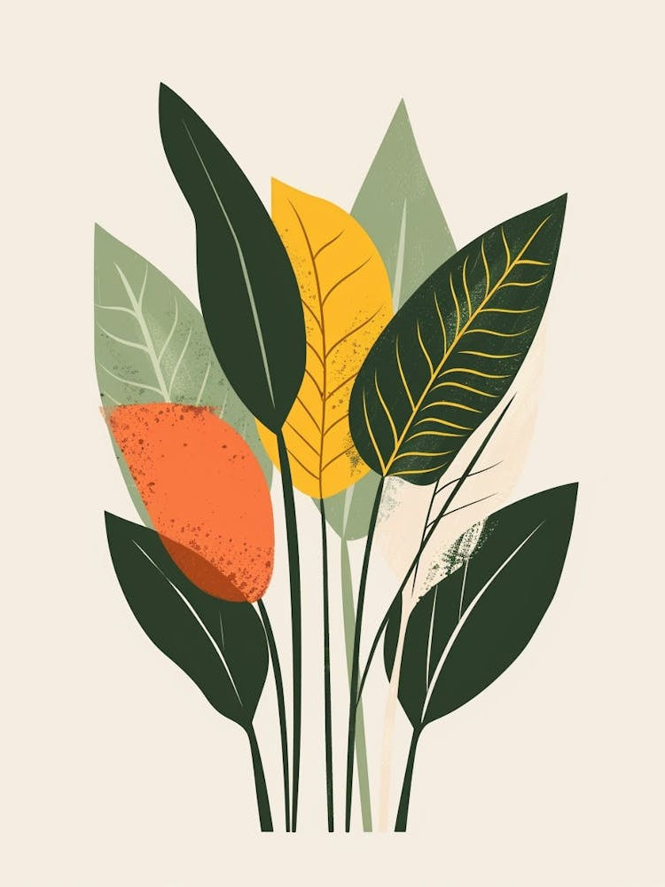Prayer Plant Minimalist Illustration 6