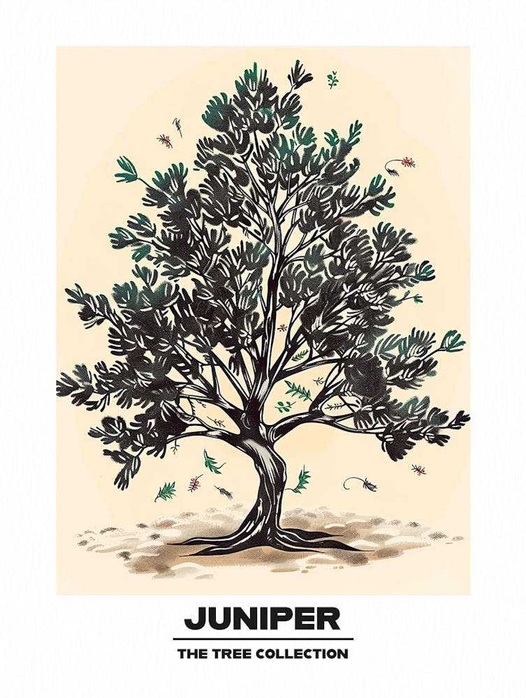 Juniper Tree Storybook Illustration 3 Poster