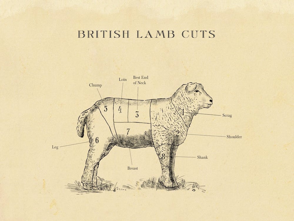British Lamb Butcher Cuts Chart