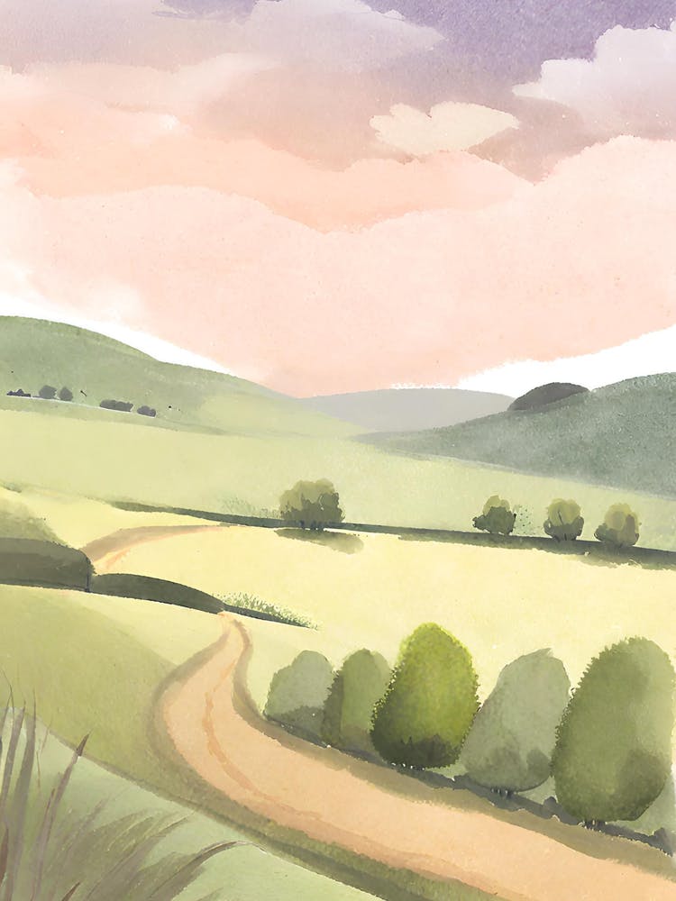 Road In The Countryside
