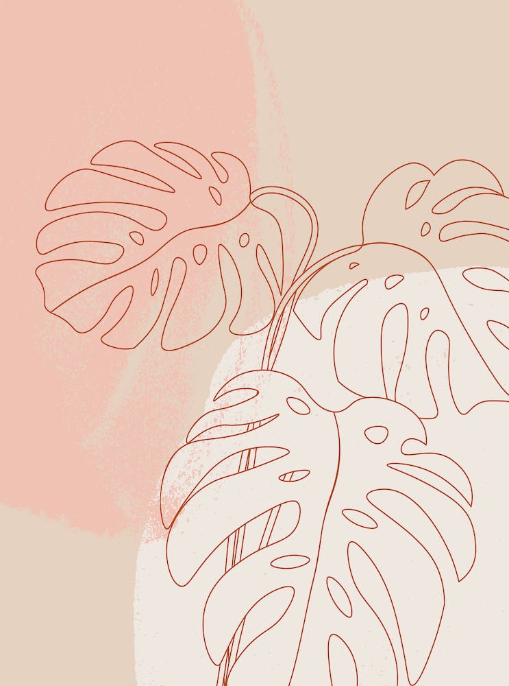 Monstera Leaf