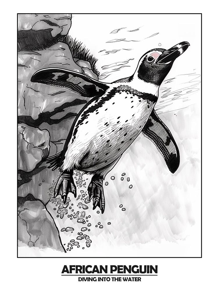 Penguin Diving Into The Water Poster 3