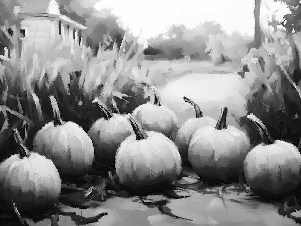 Citrouilles Noires Et Blanches 22