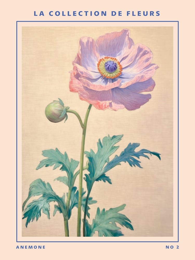 Anemone 2 French Flower Botanical Poster