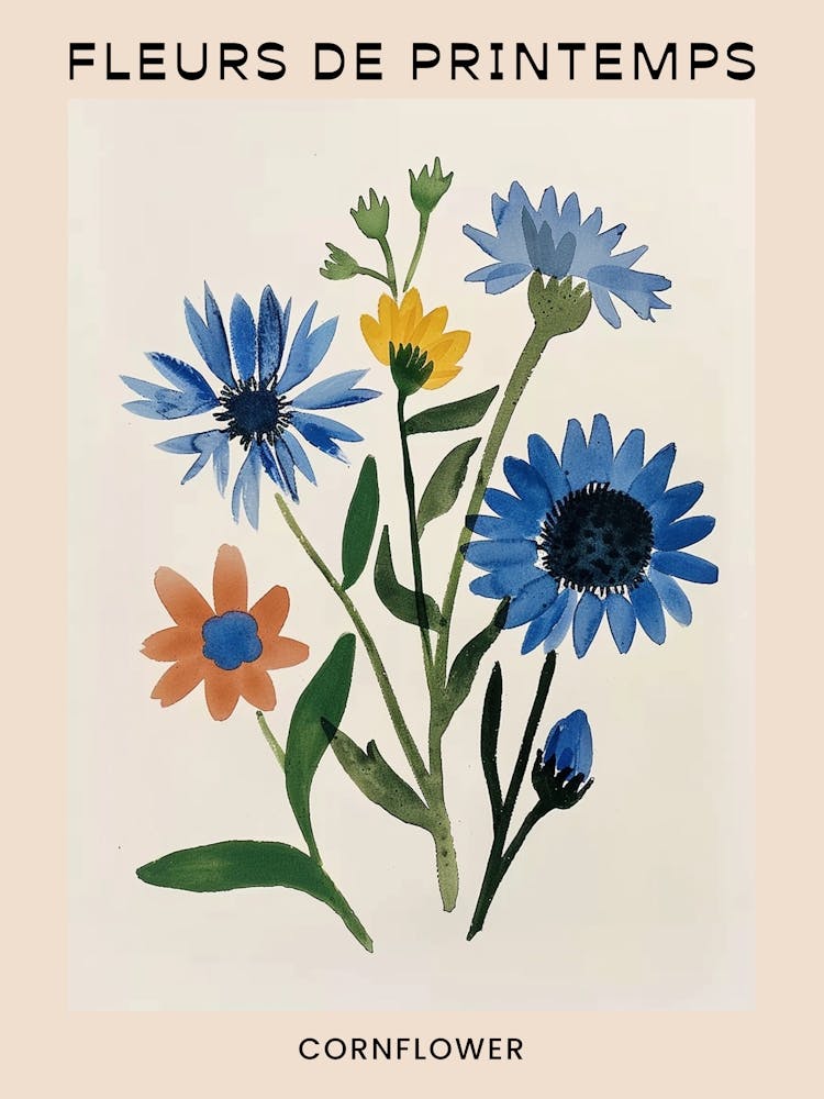 Spring Floral French Poster  Cornflower 1