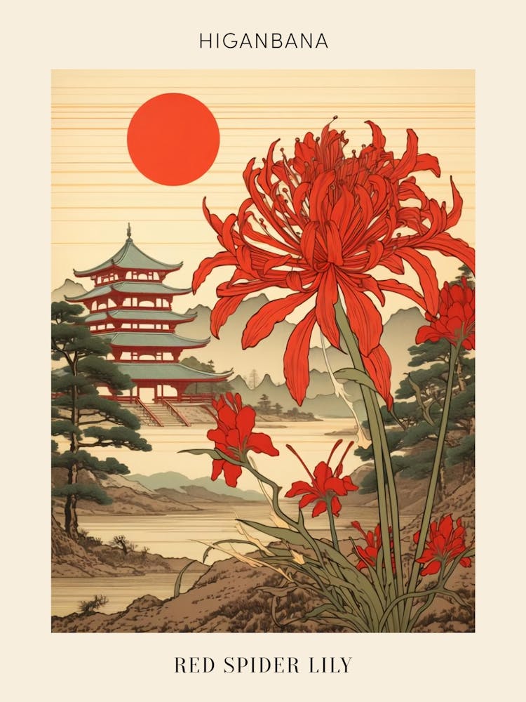 Higanbana Red Spider Lily 3 Japanese Botanical Illustration Poster