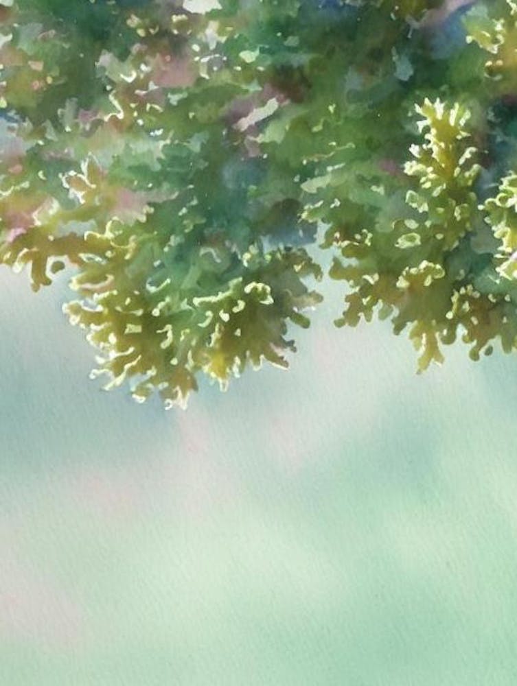 Acropora Suharsonoi Iii Märchenbuch-Aquarell