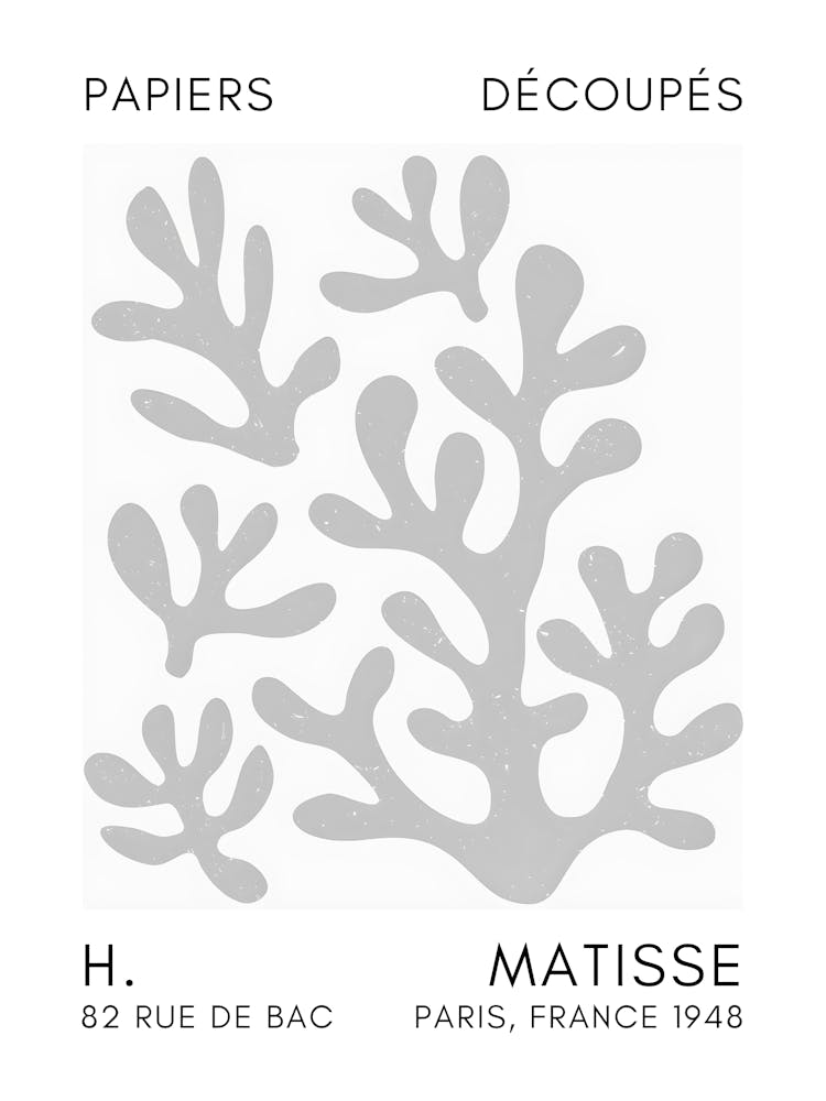 Matisse 12