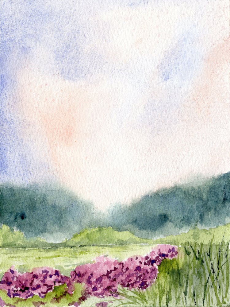 Field with Flowers