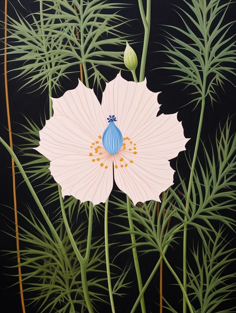 Flower Illustration Love In A Mist Nigella 4