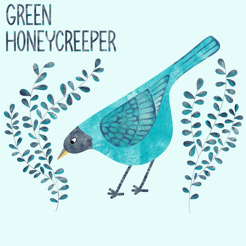 Green Honeycreeper Bird