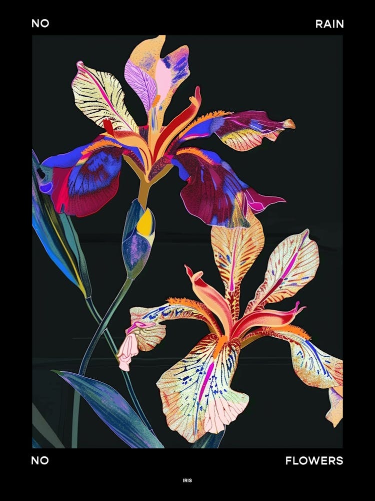 No Rain No Flowers Poster Iris 1