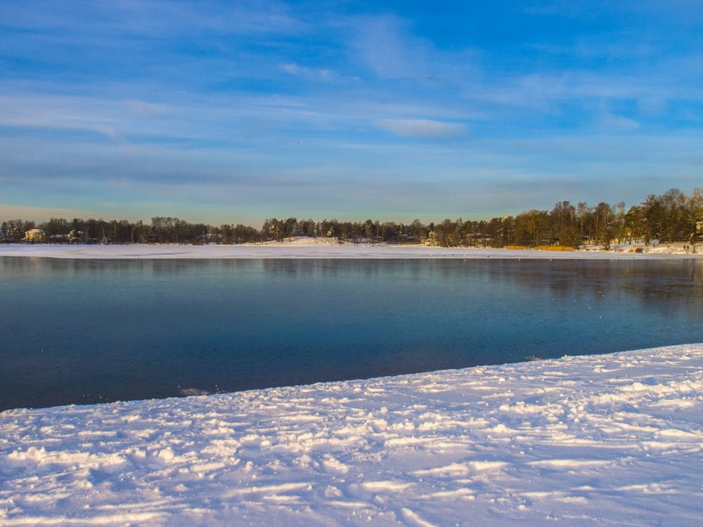 Lake In Winter