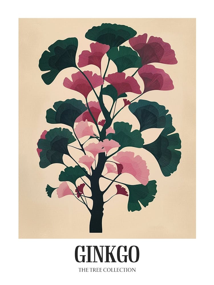 Ginkgo Tree Colourful Illustration 1 Poster