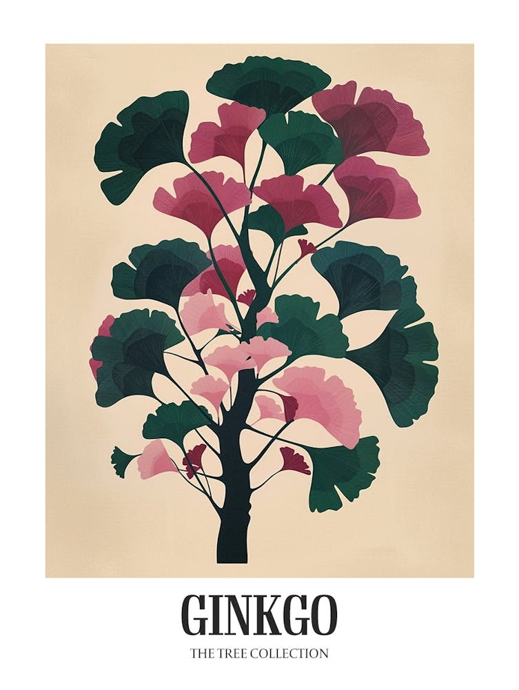Ginkgo Tree Colourful Illustration 1 Poster
